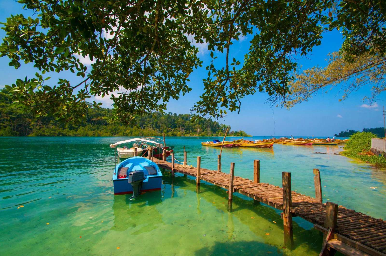 Andaman & Nicobar