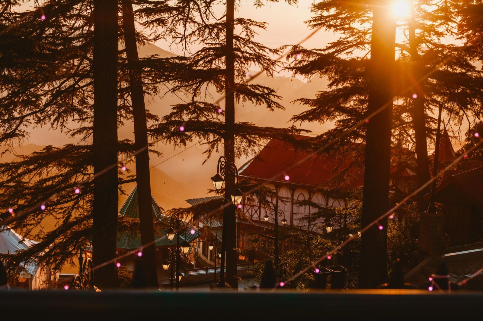 Shimla
