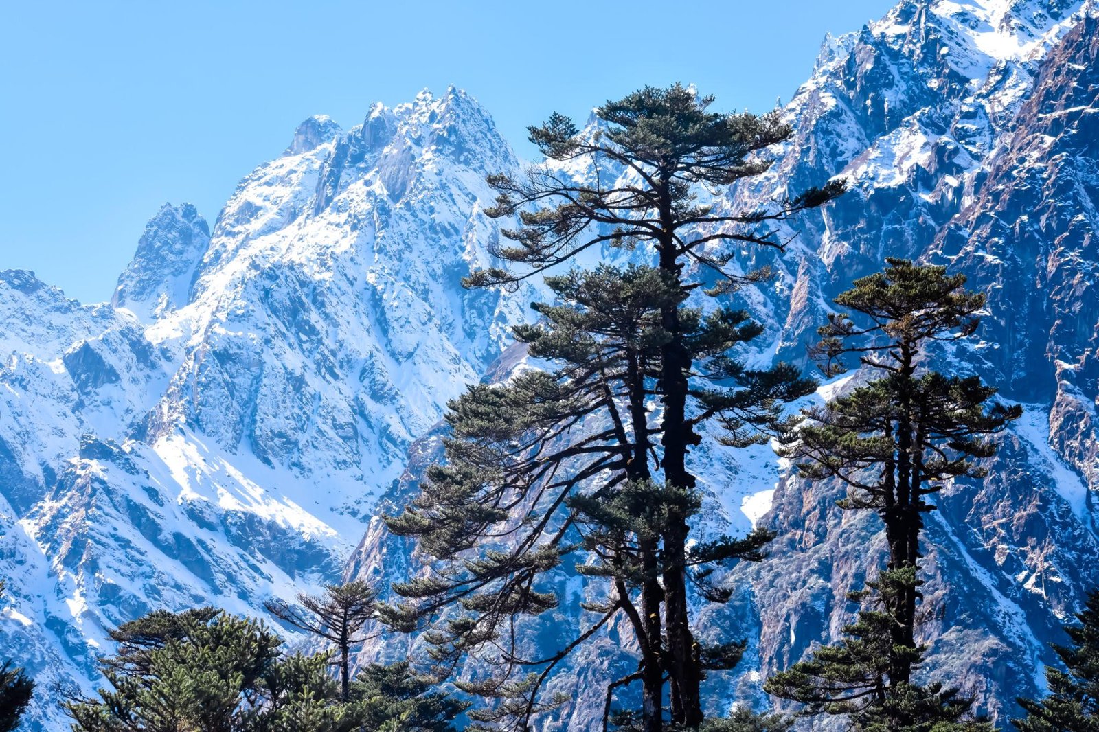 Sikkim