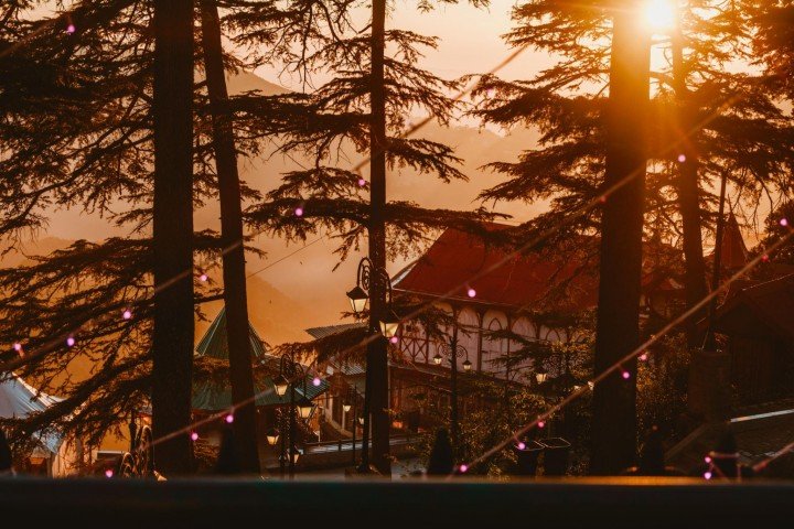 Shimla